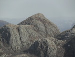 Selvigstakken