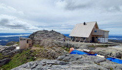 Stovegolvet