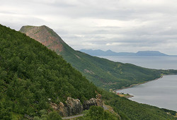 Elgen