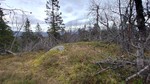 Ormekula