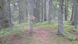 Stokkåsen