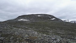 Solhaugen