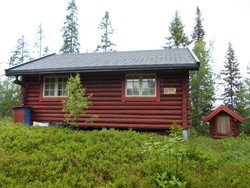 Bringsåsen