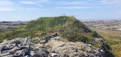 Knulleknotten