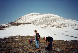 Blåkampen