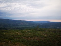 Bjørnsfjellet