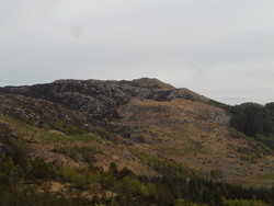 Bursfjellet