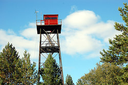 Bukkedalsknatten