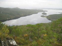 Rottøyhaugen