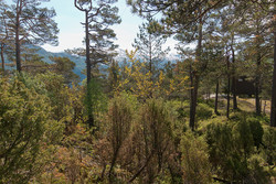 Storåsen