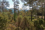 Storåsen