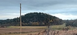 Bastelinsåsen
