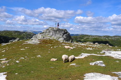 Gleksefjell