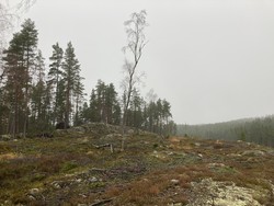 Trettåsen