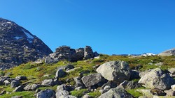 Slufsekoppen