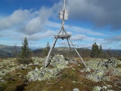 Skjærhøa