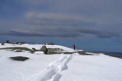 Salfjella