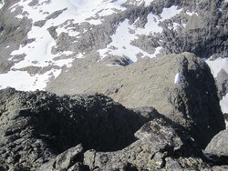 Kongskneet