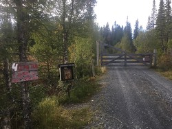 Flintheiseterveien