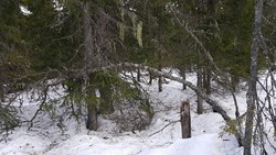 Åsen