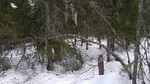 Åsen