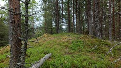 Finnegardsnatten
