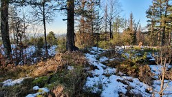Gravtjernåsen