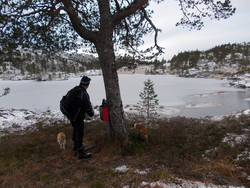 Finntjønna