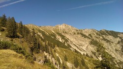 Schellschlicht