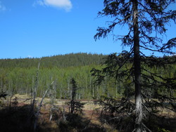 Skutsæterberget
