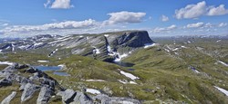 Skjellinganosi