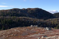 Søtelinatten