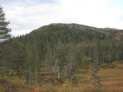 Svartåsen
