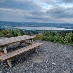 Marikollen