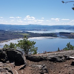 Høgkammen