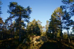 Vindernhøgda