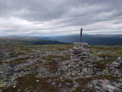 Storgnollen