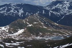 Sprikltjønnknubben