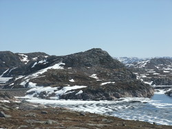 Grøneknuten