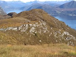Torsethornet