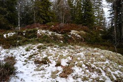 Gravliberget
