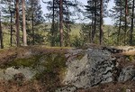 Rulleås