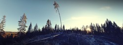 Høgåsen i Nes i Akershus