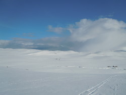 Tverrbrennstua