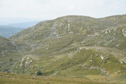 Økternatten