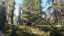 Eggeåsen