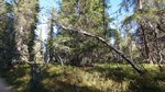 Eggeåsen