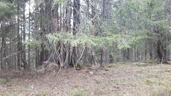 Sortungshøgda