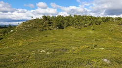 Bergsjøåsen Øst