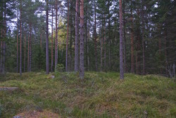 Finfallåsen